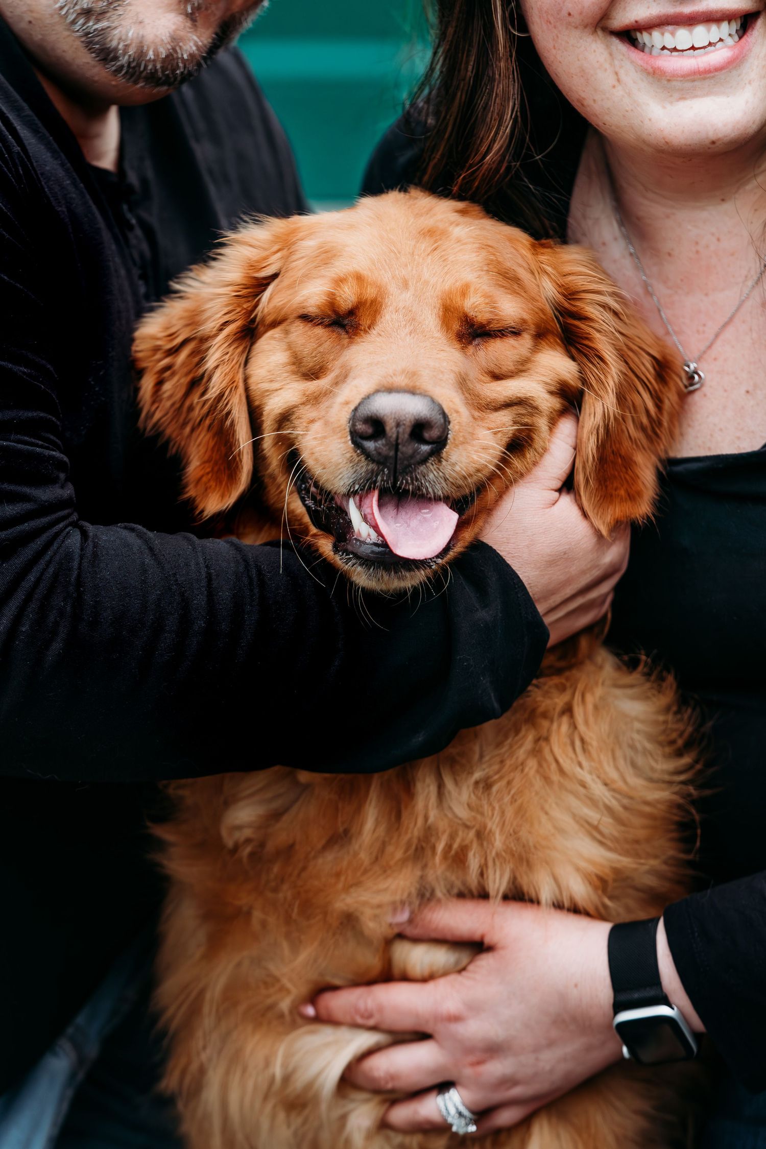 Close-up series of happy golden retriever with family members.