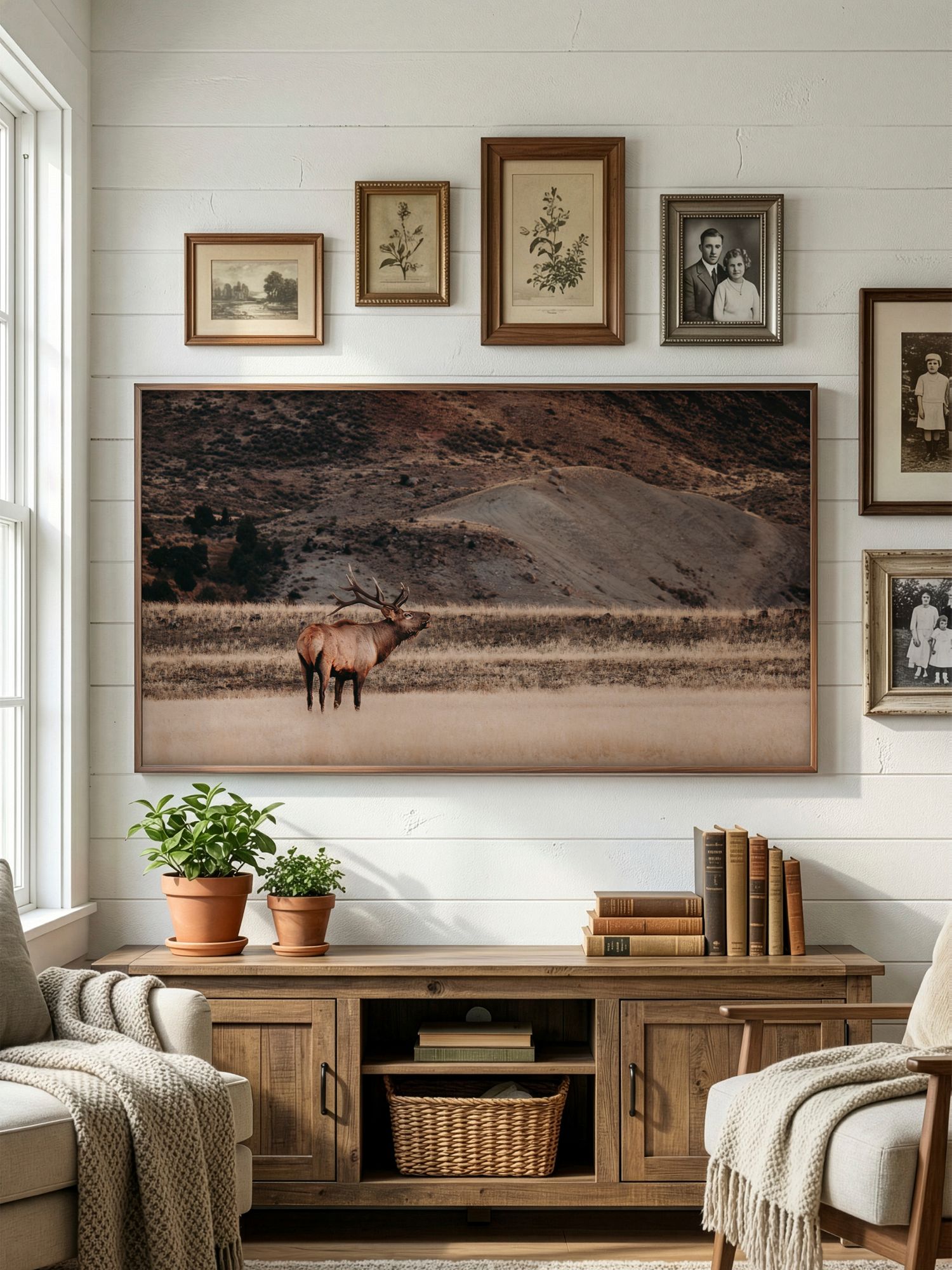 Rustic living room with panoramic horse photography, vintage frames, and natural wood furniture against white shiplap walls.