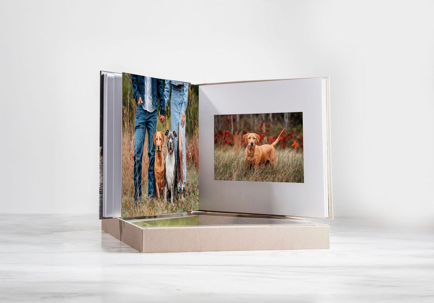 A white accordion-style photo book displayed from different angles on a light surface.