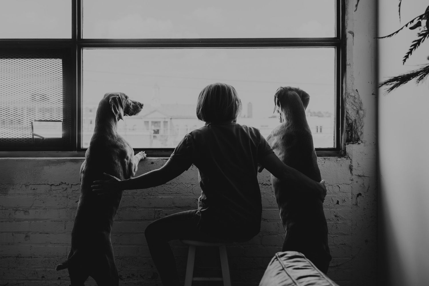 Silhouettes of people gathered in a room with windows creating dramatic lighting.
