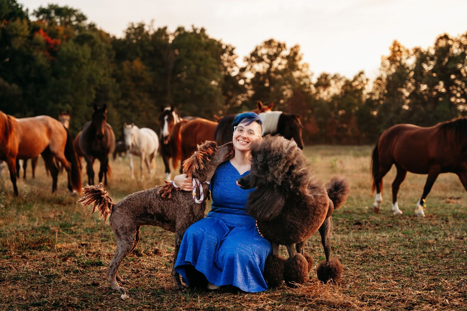 Person in blue dress sitting with horses and dogs in autumn field at sunset.