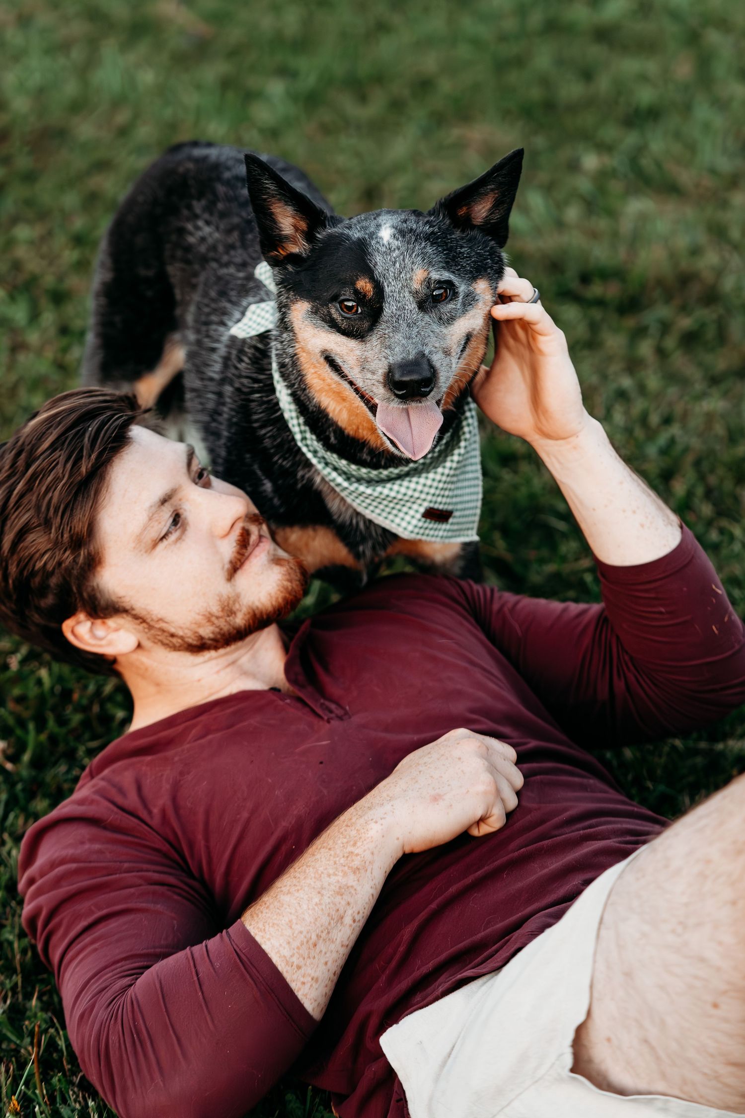 A playful sequence of a person and their Australian Cattle Dog bonding on grass outdoors.