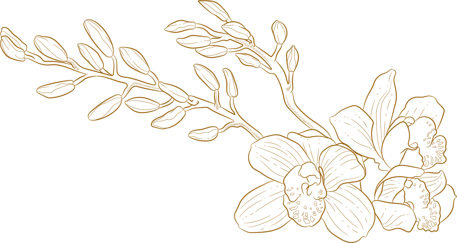 Decorative golden floral branch illustration with delicate leaves.