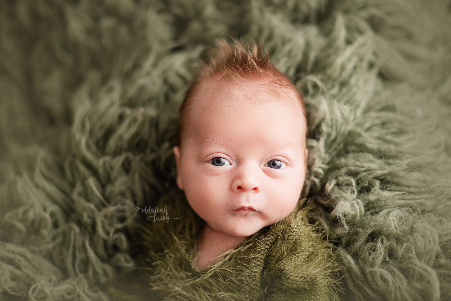 A newborn baby wrapped in green textured blanket during portrait session.