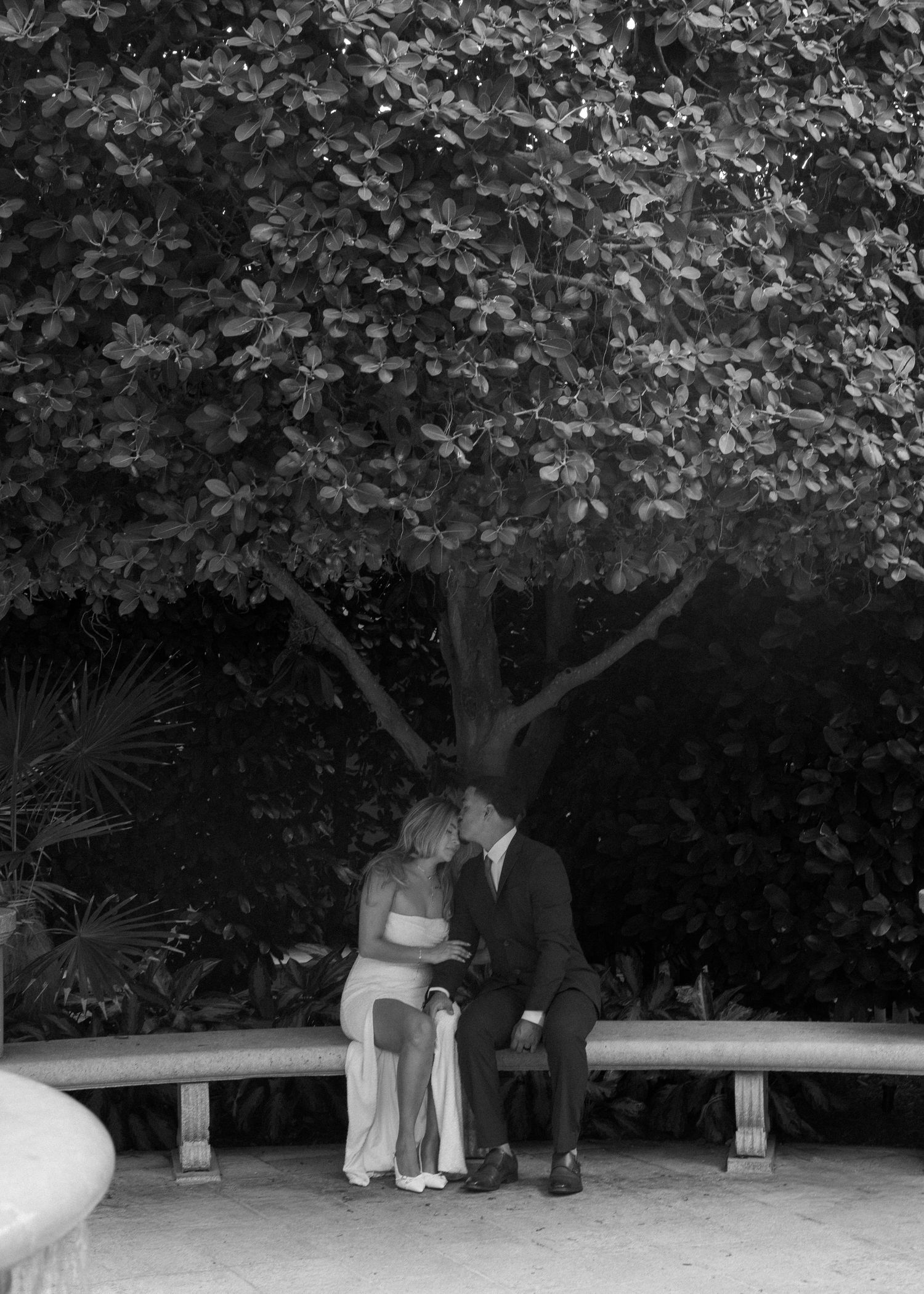 Black and white photo of a couple sharing a romantic kiss on a bench beneath a large tree.