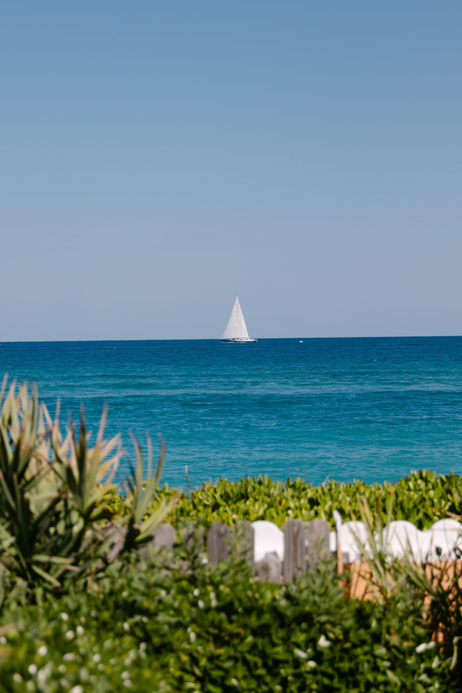 A white sailboat glides on turquoise ocean waters, viewed from a lush green coastal garden under a clear blue sky.