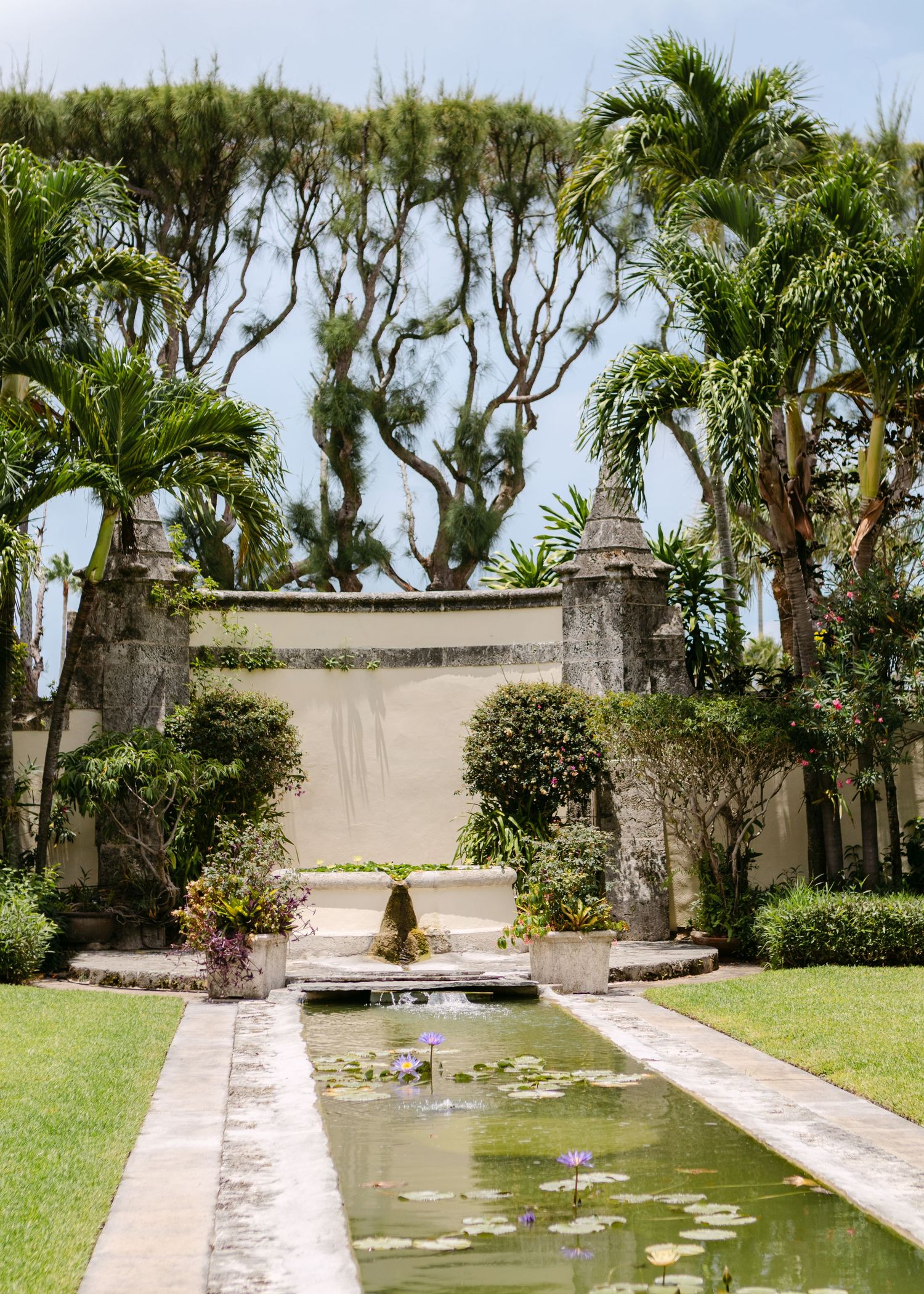 Tranquil garden pond with lily pads surrounded by palm trees and stone walls.