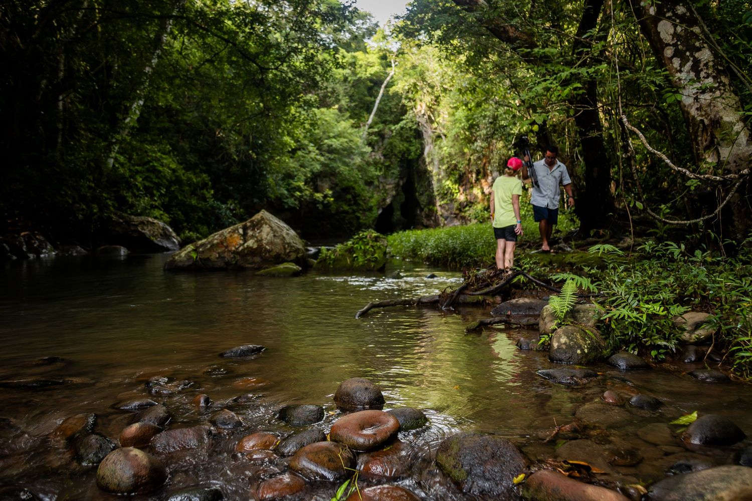 Photography workshop in Guanacaste
