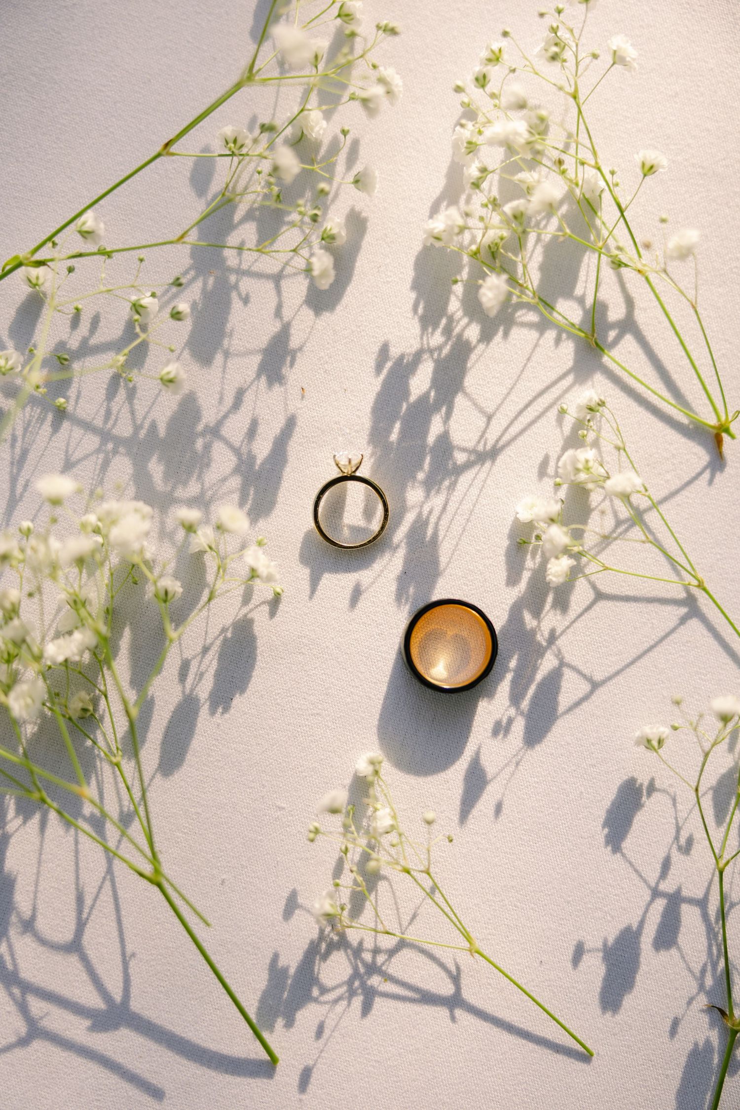 Two wedding rings surrounded by delicate white gypsophila flowers casting soft shadows on a white surface.
