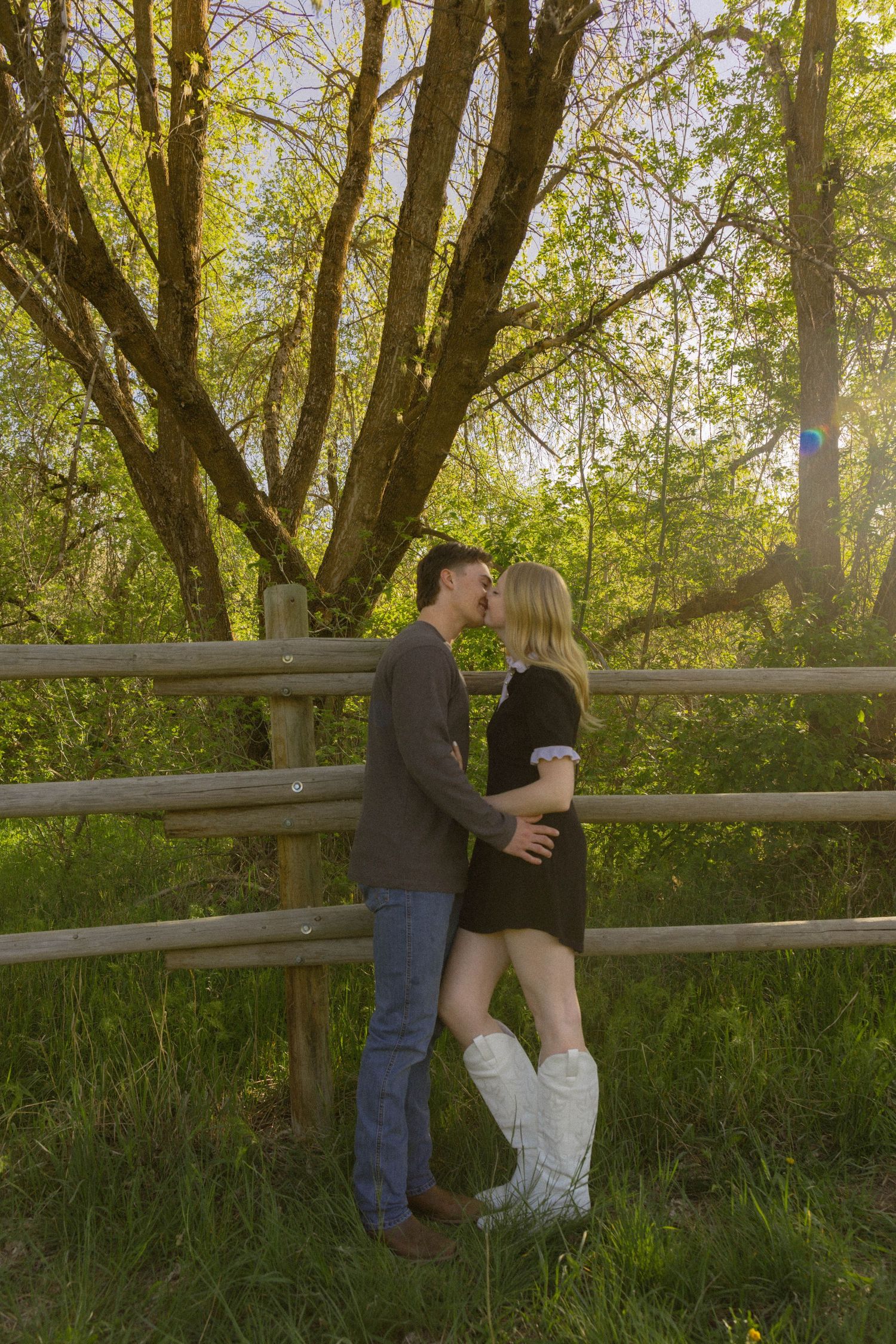 Couple sharing a romantic kiss by a rustic wooden fence surrounded by lush green trees in golden sunlight.