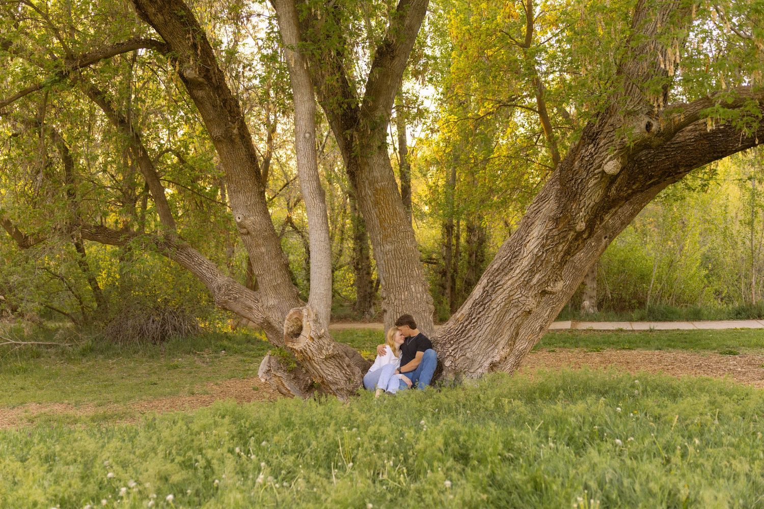 Couple sitting romantically under a large tree in a lush green park during golden hour.