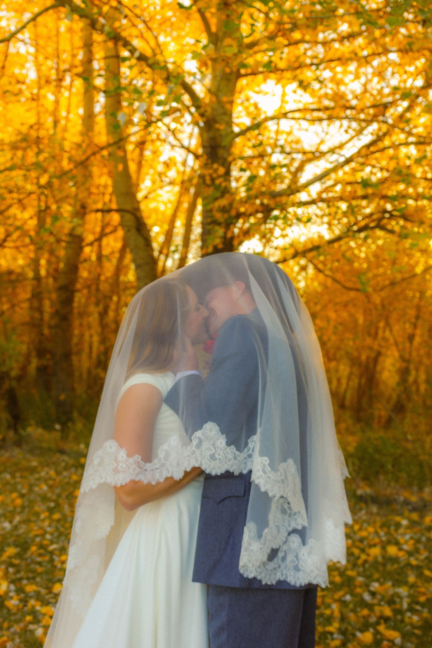 Bride and groom share a romantic moment under a lace veil surrounded by golden autumn trees.