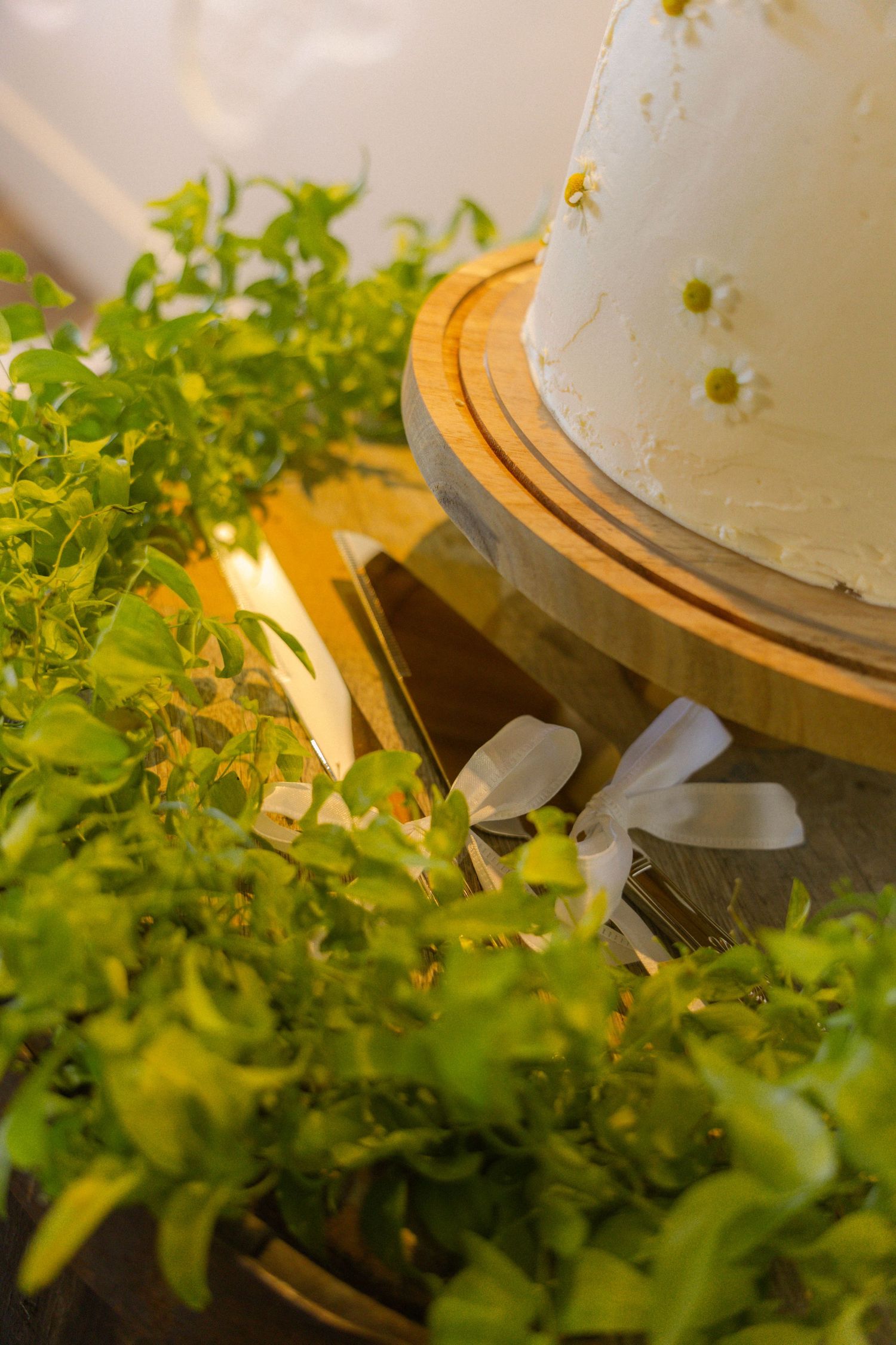 White frosted wedding cake with daisy decorations on wooden stand, surrounded by lush green plants and white ribbon bow.