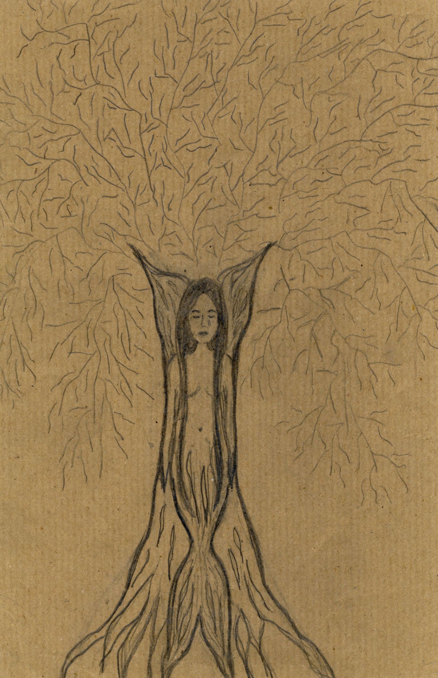Pencil drawing of a woman merging with a tree, her body forming the trunk and branches spreading above.