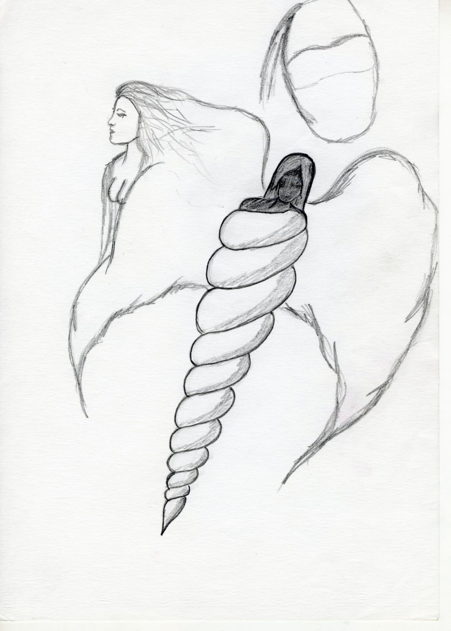 Pencil sketch of a winged woman with flowing hair beside a spiral shell-like coiled form.