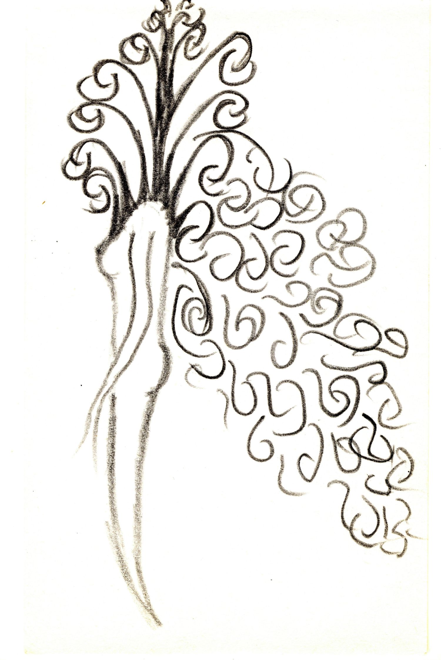 Pencil sketch of an abstract figure with curling spiral tendrils and flowing root-like extensions.