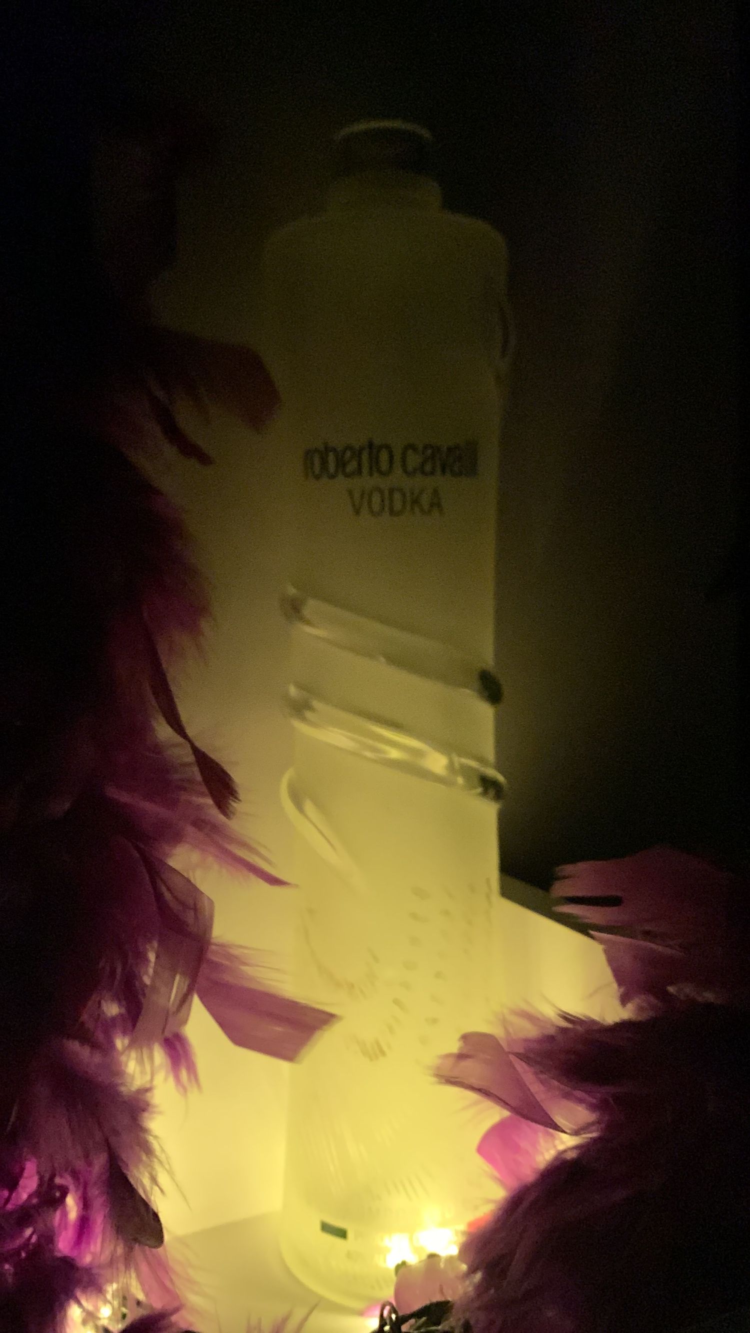 Illuminated Roberto Cavalli Vodka bottle glowing yellow-green surrounded by pink feathers in a dark nightclub setting.