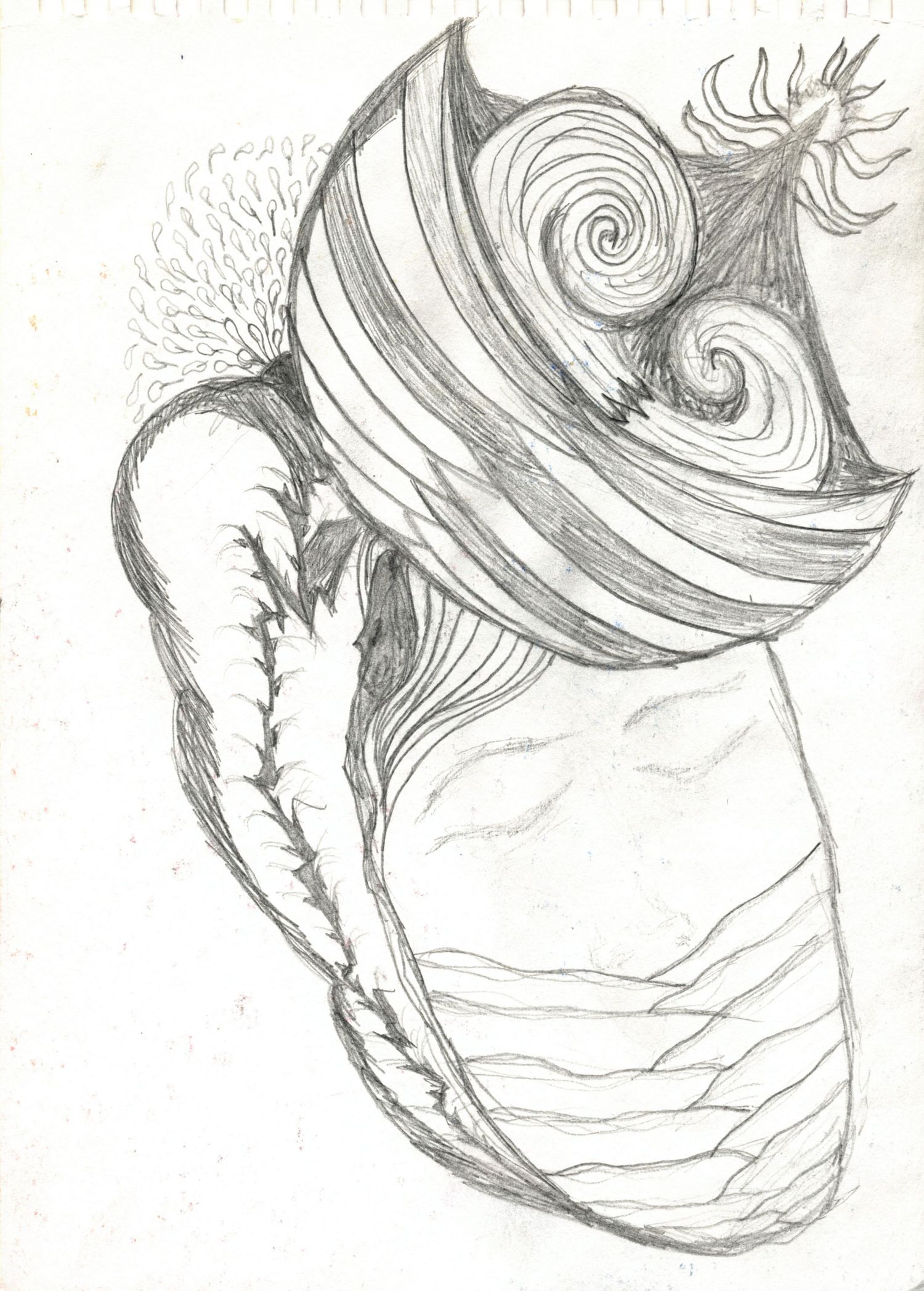 Detailed pencil sketch of a surreal snail-like creature with spiral shell and feathered textures.