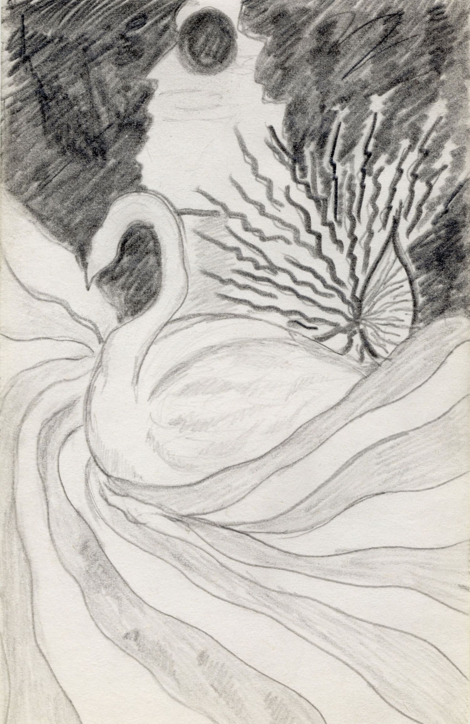 Pencil sketch of a graceful swan with flowing feathers beside a sea anemone under a dark circular moon.