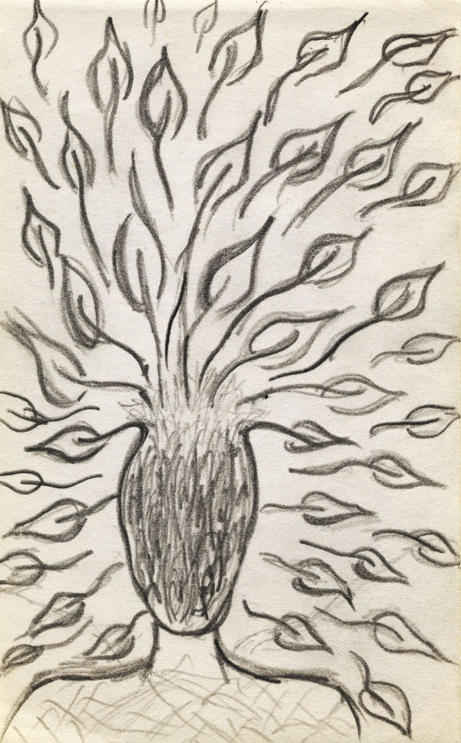 Charcoal drawing of a vase with branches sprouting flame-shaped leaves radiating outward in all directions.