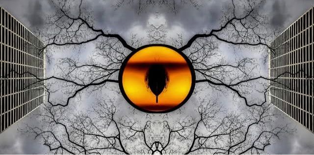 Surreal digital art featuring a giant orange eye surrounded by bare tree branches against a stormy grey sky.