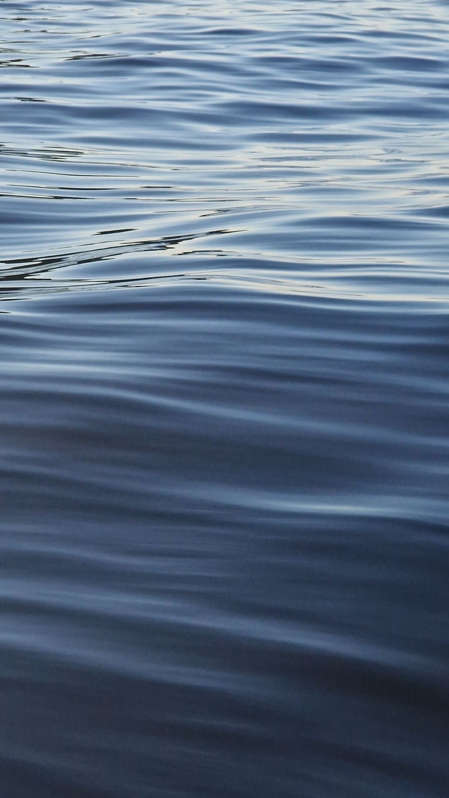 Calm blue ocean water surface with gentle rippling waves at dusk.
