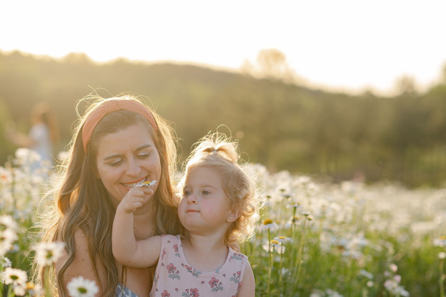 Sweet family moment captured in a blooming wildflower meadow at sunset.