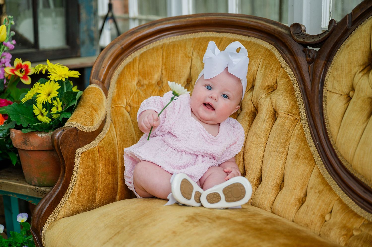 Baby wearing pink outfit and bow relaxing on vintage gold velvet sofa with flowers nearby.
