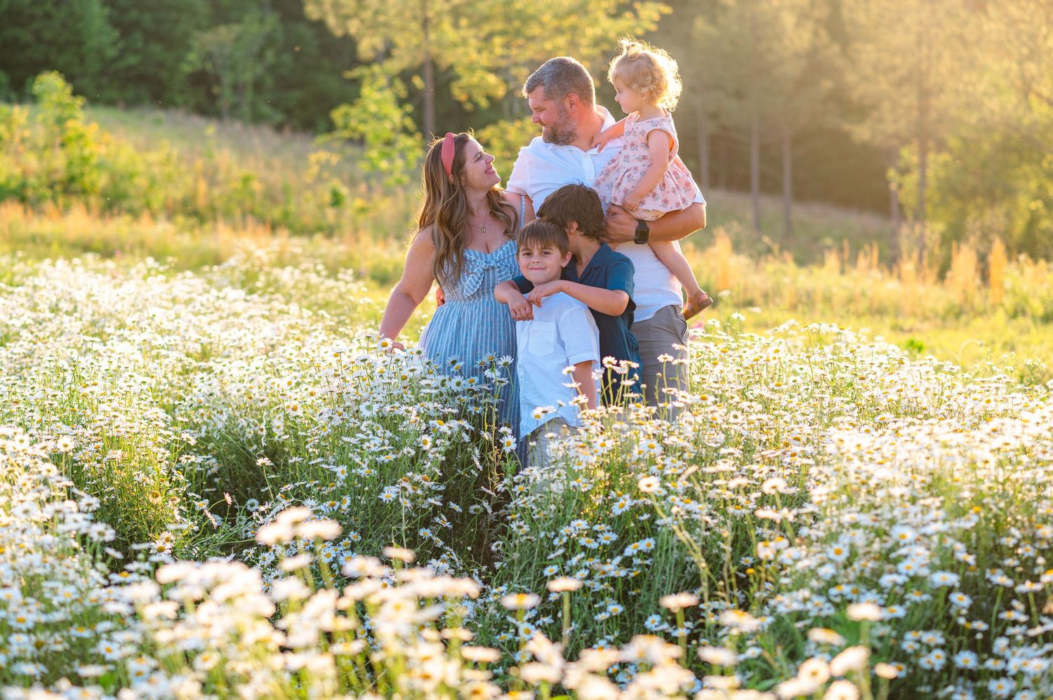 Joyful family photoshoot among blooming white daisies in summer sunlight.