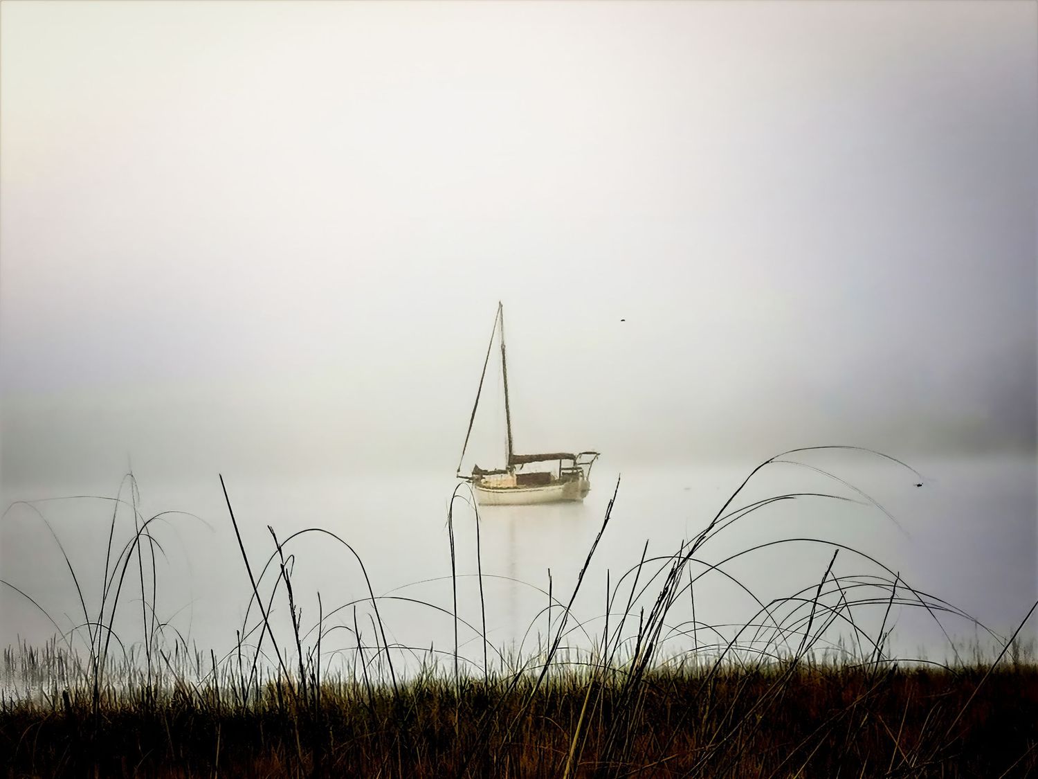 Minimalist coastal scene with tall grass and sailboat silhouette against foggy sky.