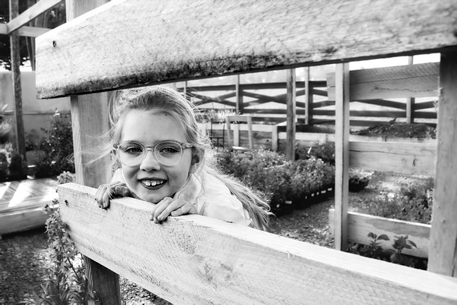 Candid outdoor winter scene with wooden fencing in black and white.