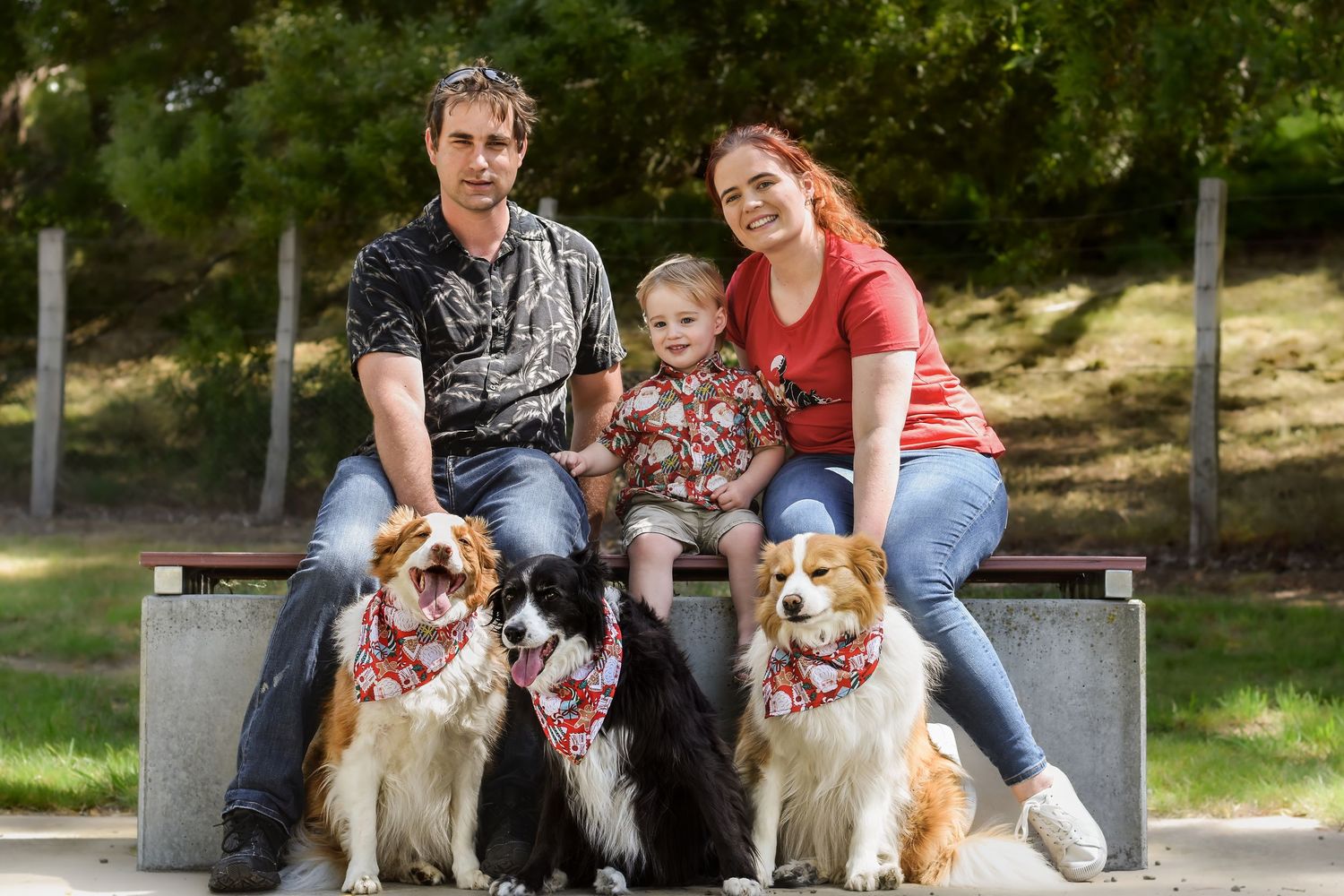 Family sitting on park bench with their golden retriever dogs.