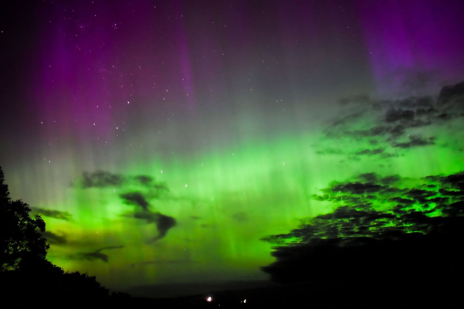 Spectacular northern lights display with purple and green hues illuminating the horizon.