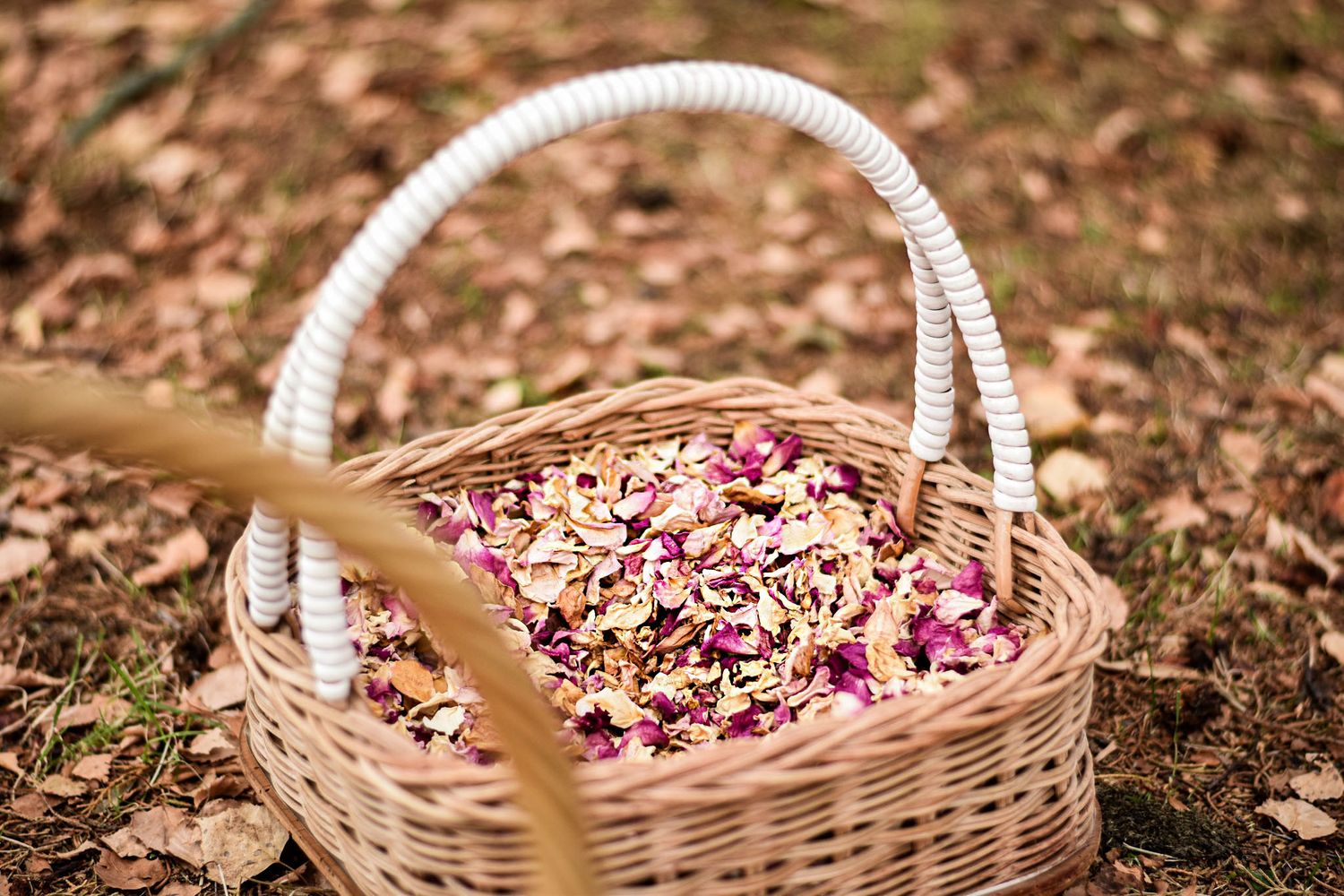Pink rose petals scattered in a rustic wicker basket on autumn leaves.