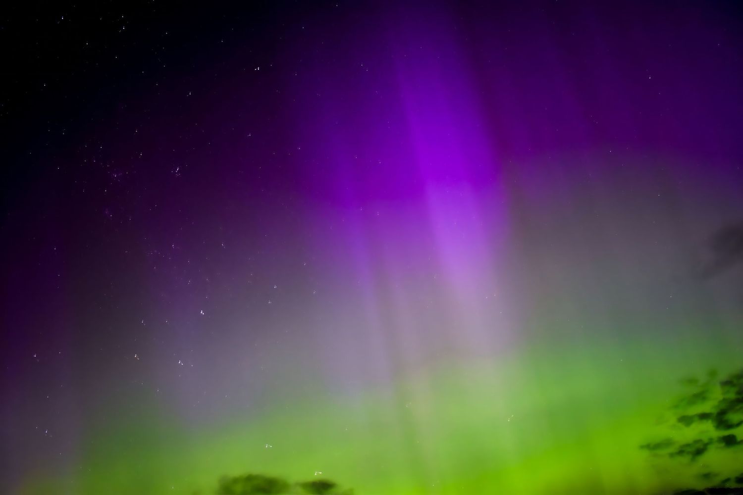Vibrant purple and green aurora borealis dancing across the night sky.