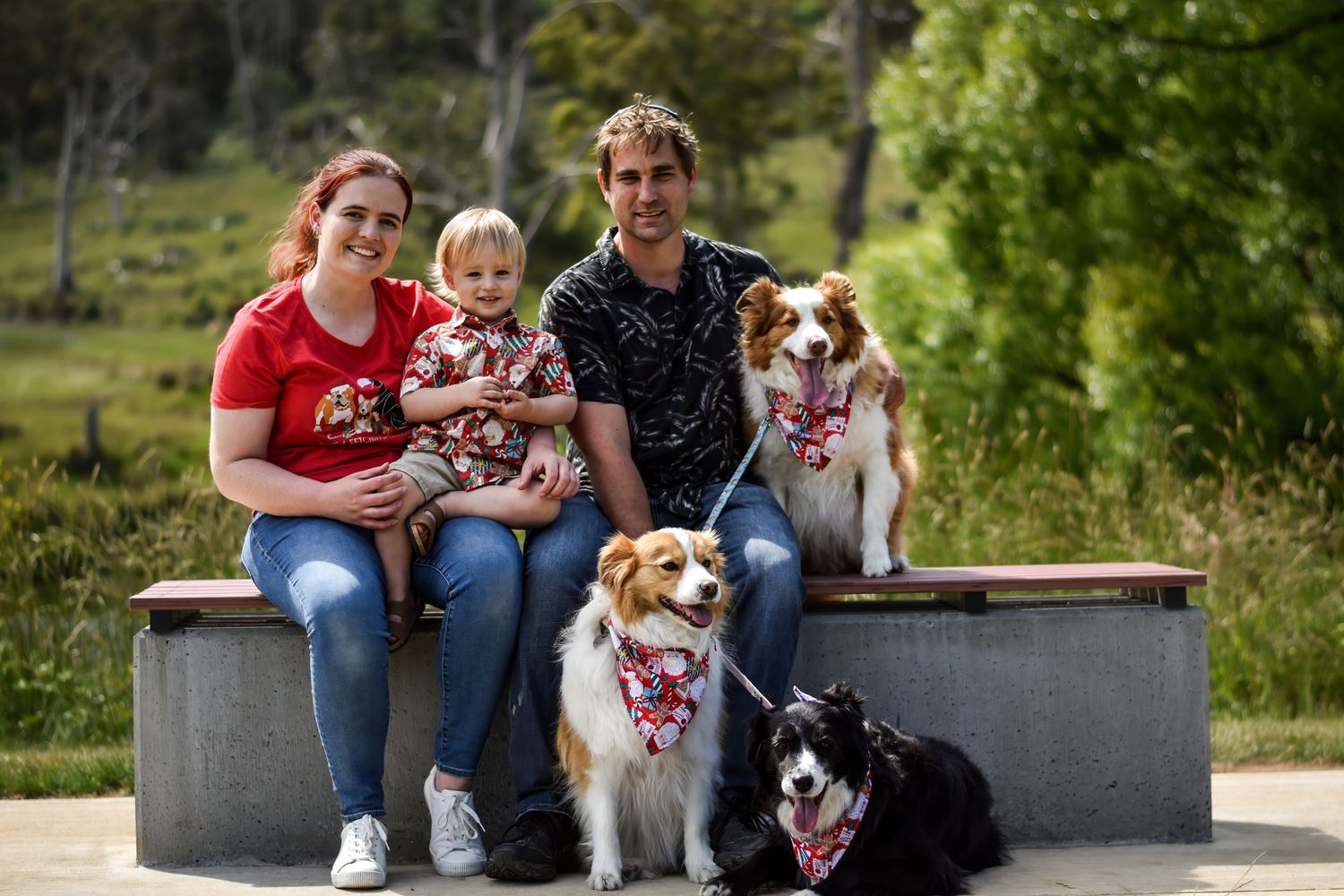 Family sitting together with their dogs on concrete benches in a park setting.