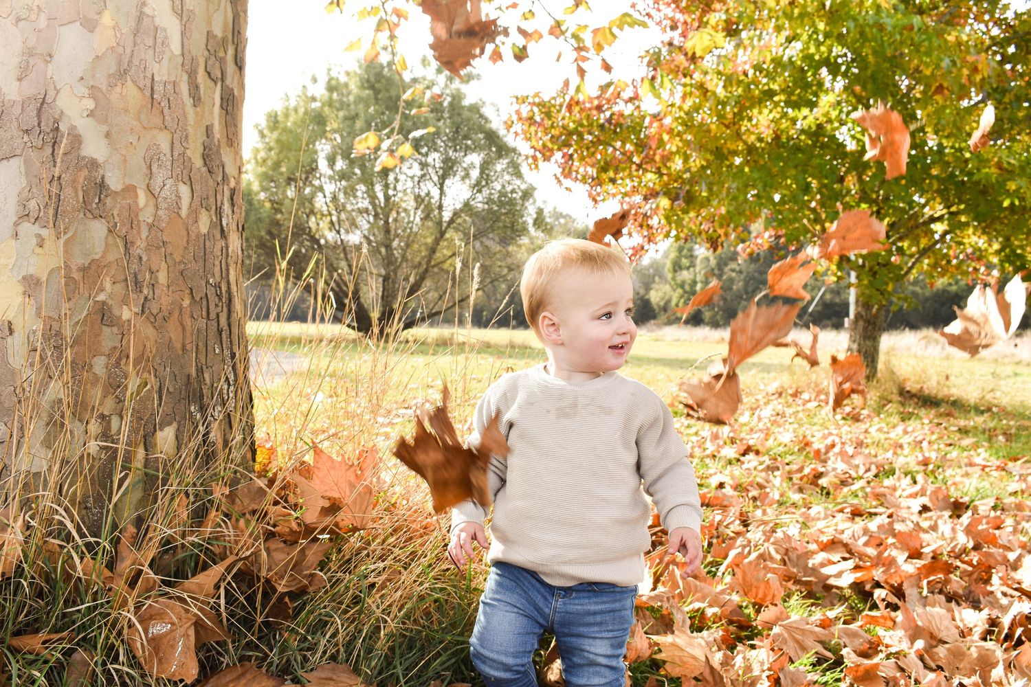 Child exploring fallen autumn leaves near large tree trunk.