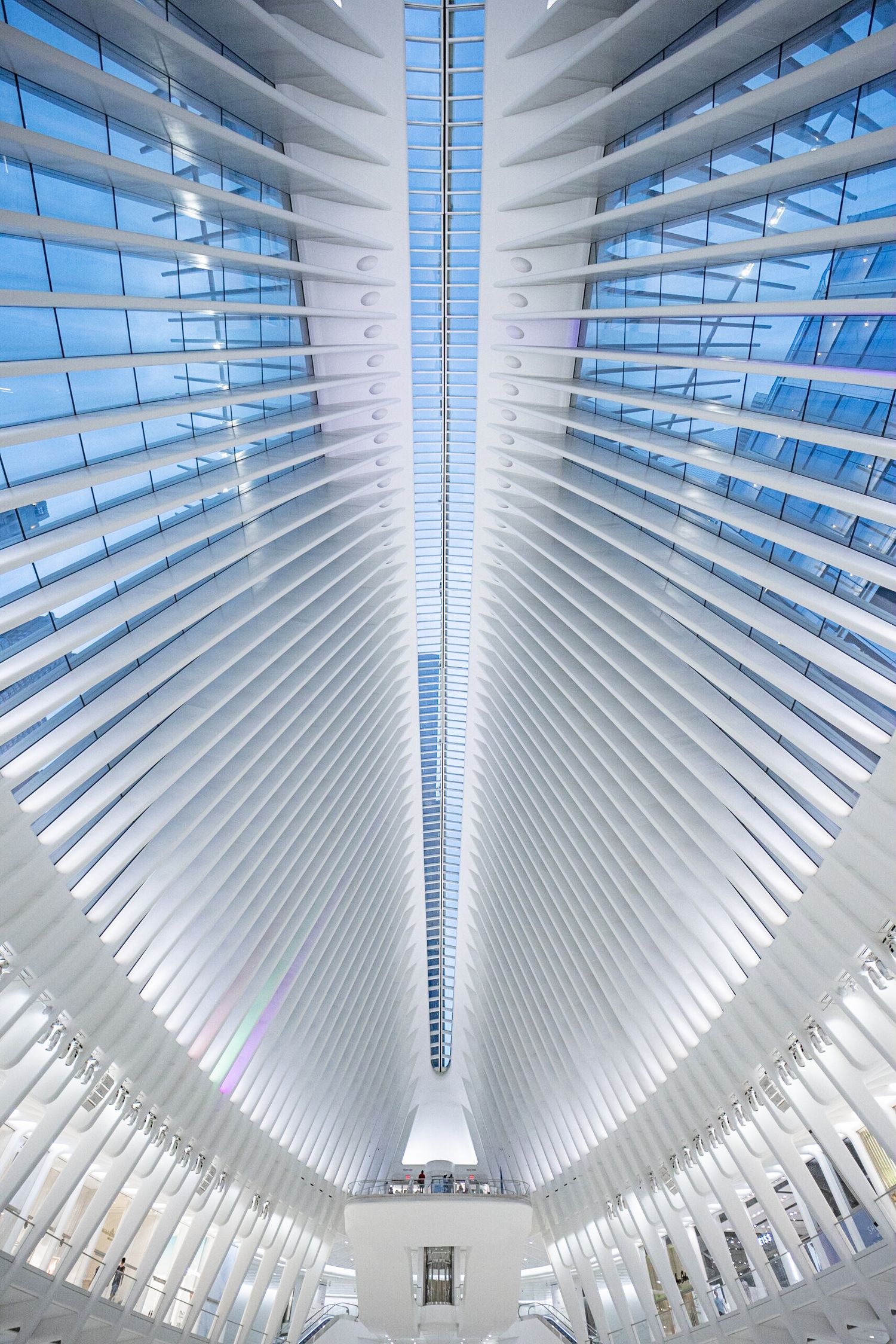 Interior view of the Oculus at World Trade Center featuring dramatic white ribbed architecture and skylight ceiling.