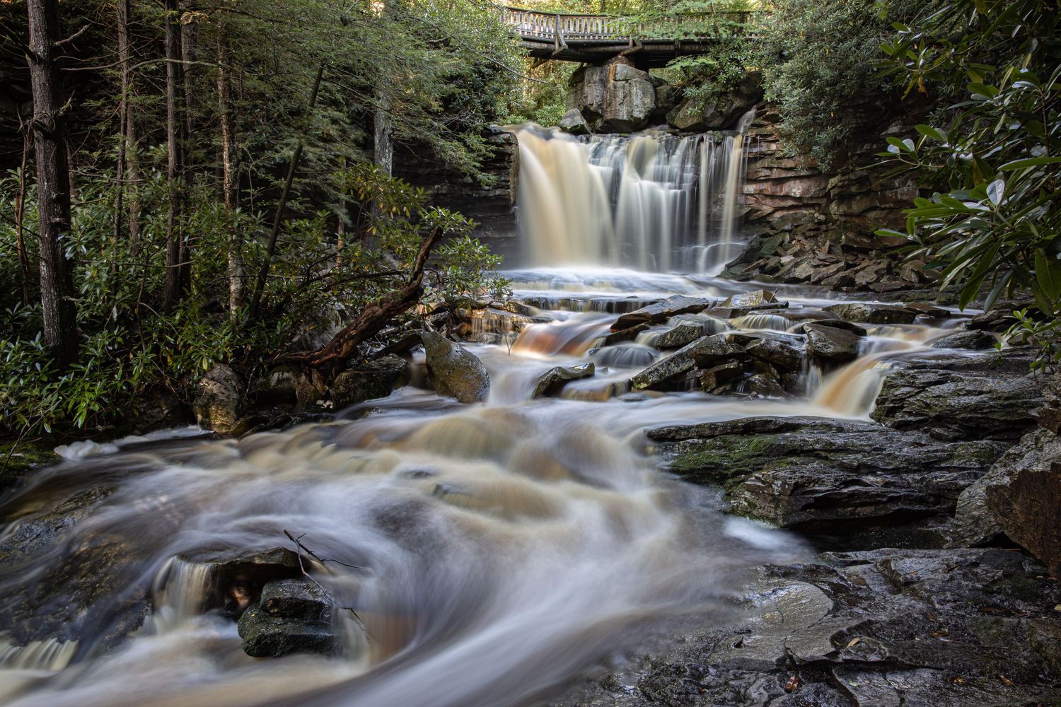 A rushing waterfall cascades over mossy rocks beneath a wooden bridge in a lush green forest wilderness setting.