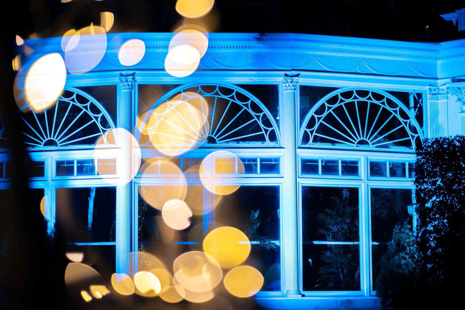 Blue-lit neoclassical building facade at night with golden bokeh light orbs creating a dreamy, festive atmosphere.