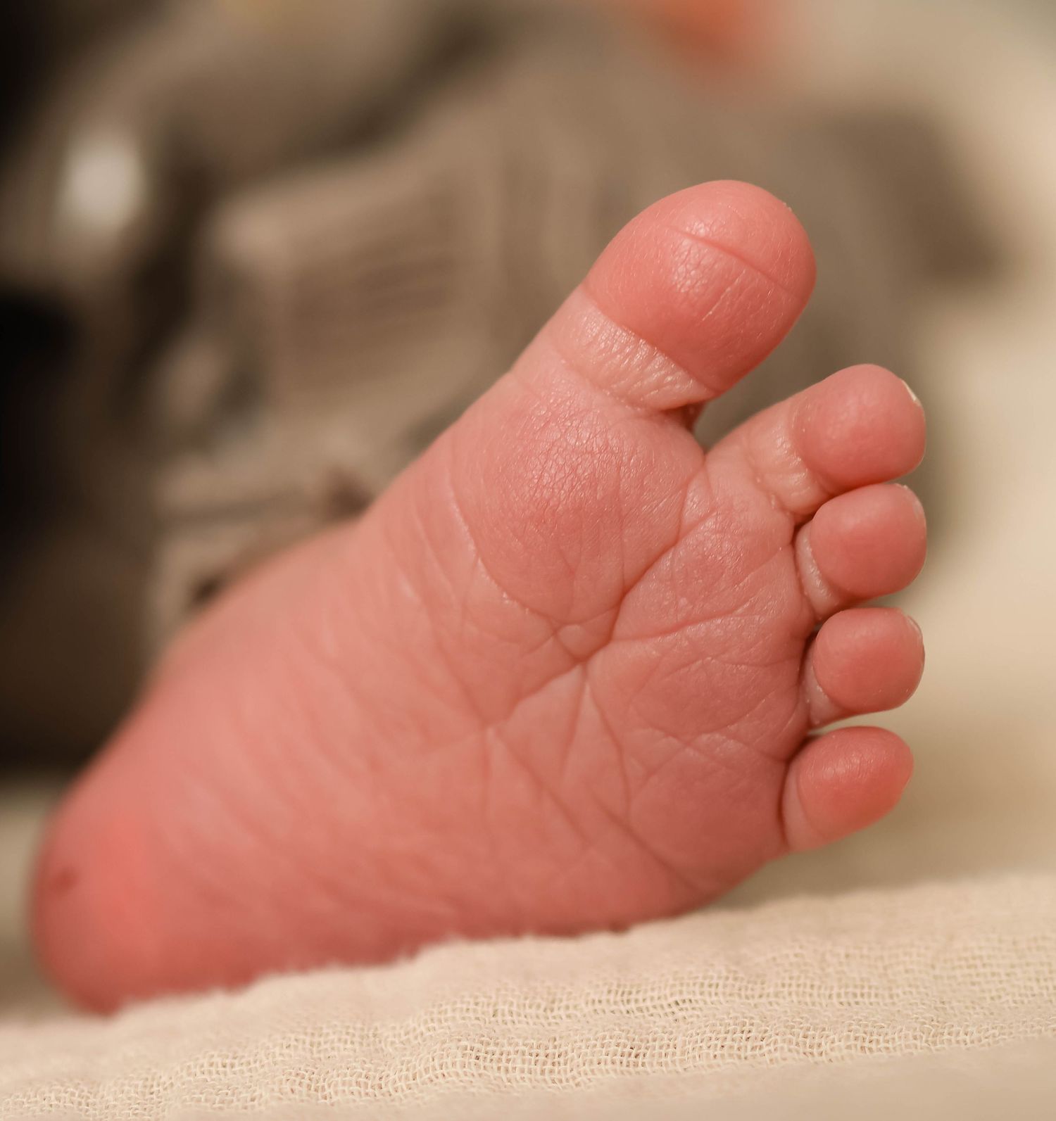 In Home newborn photos
