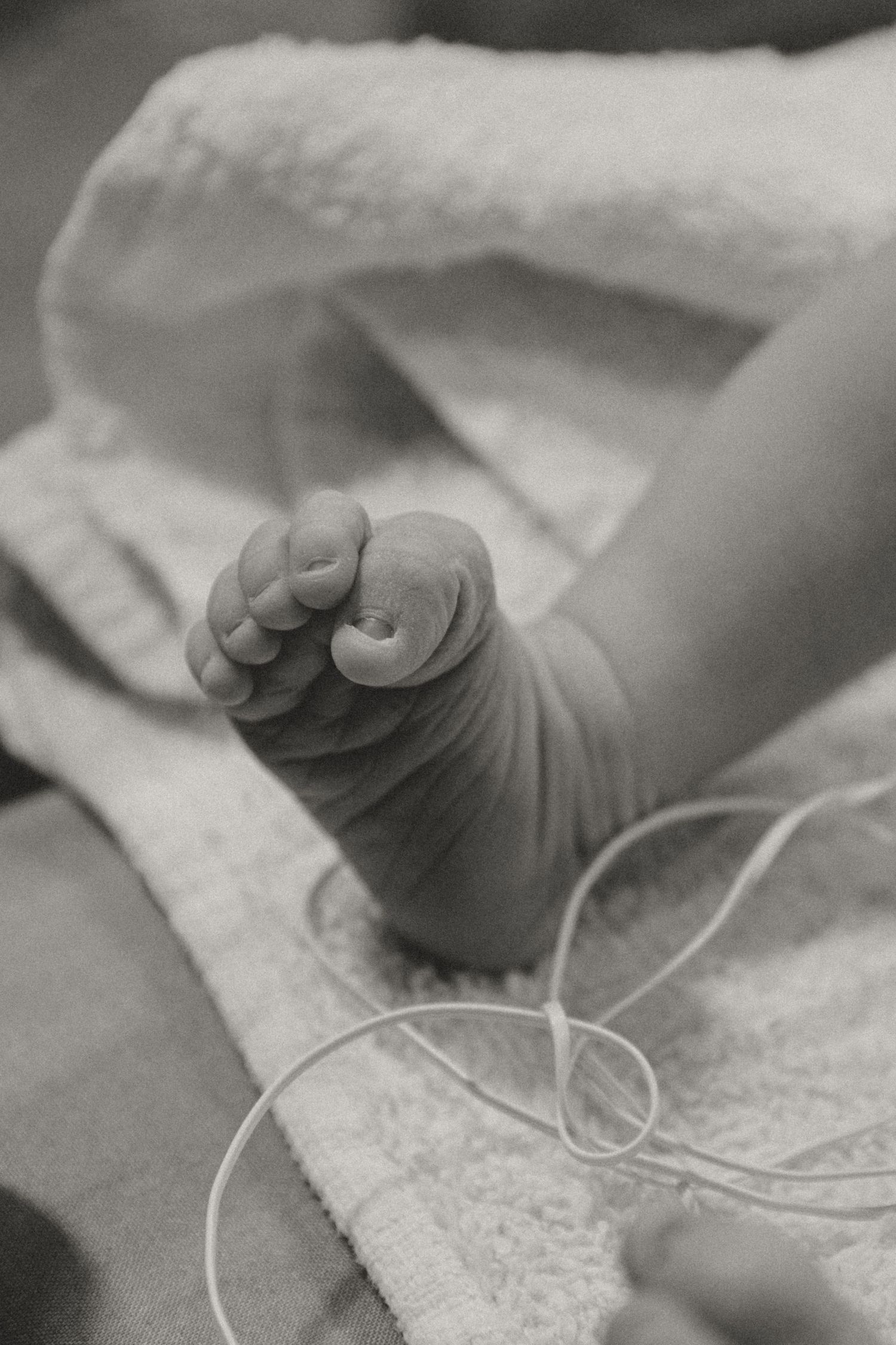 Close-up black and white images of a newborn baby's tiny hand and fingers.