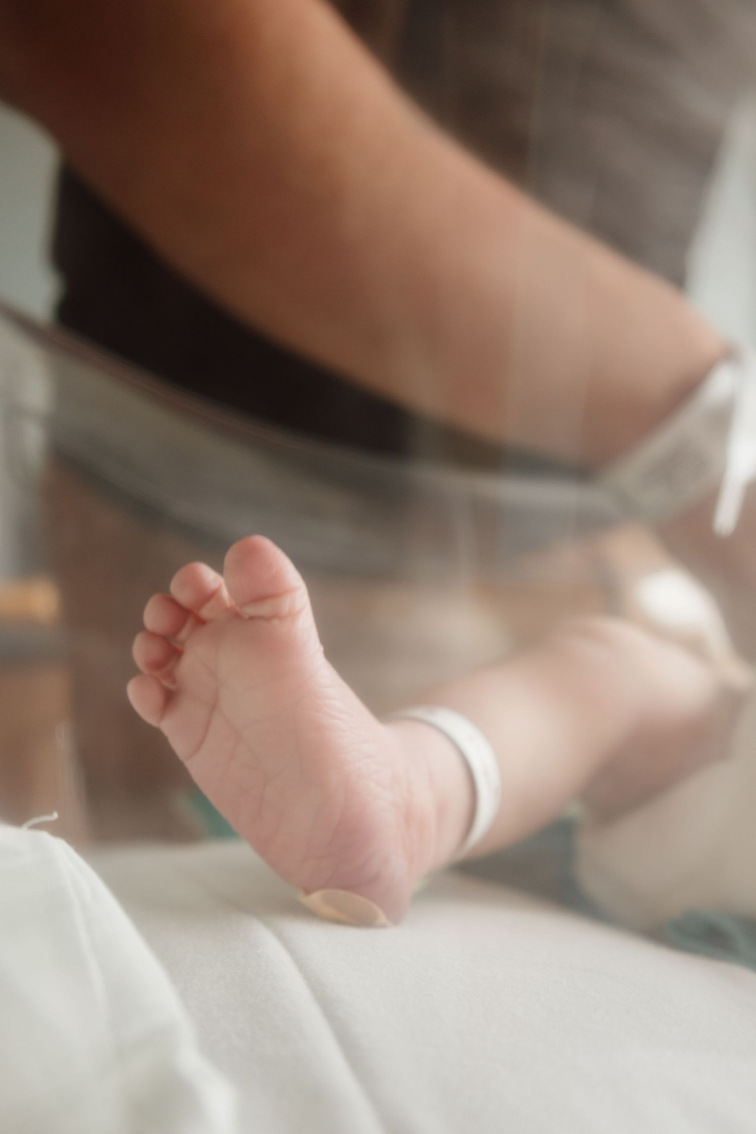 Close-up view of tiny baby feet against a soft white background.
