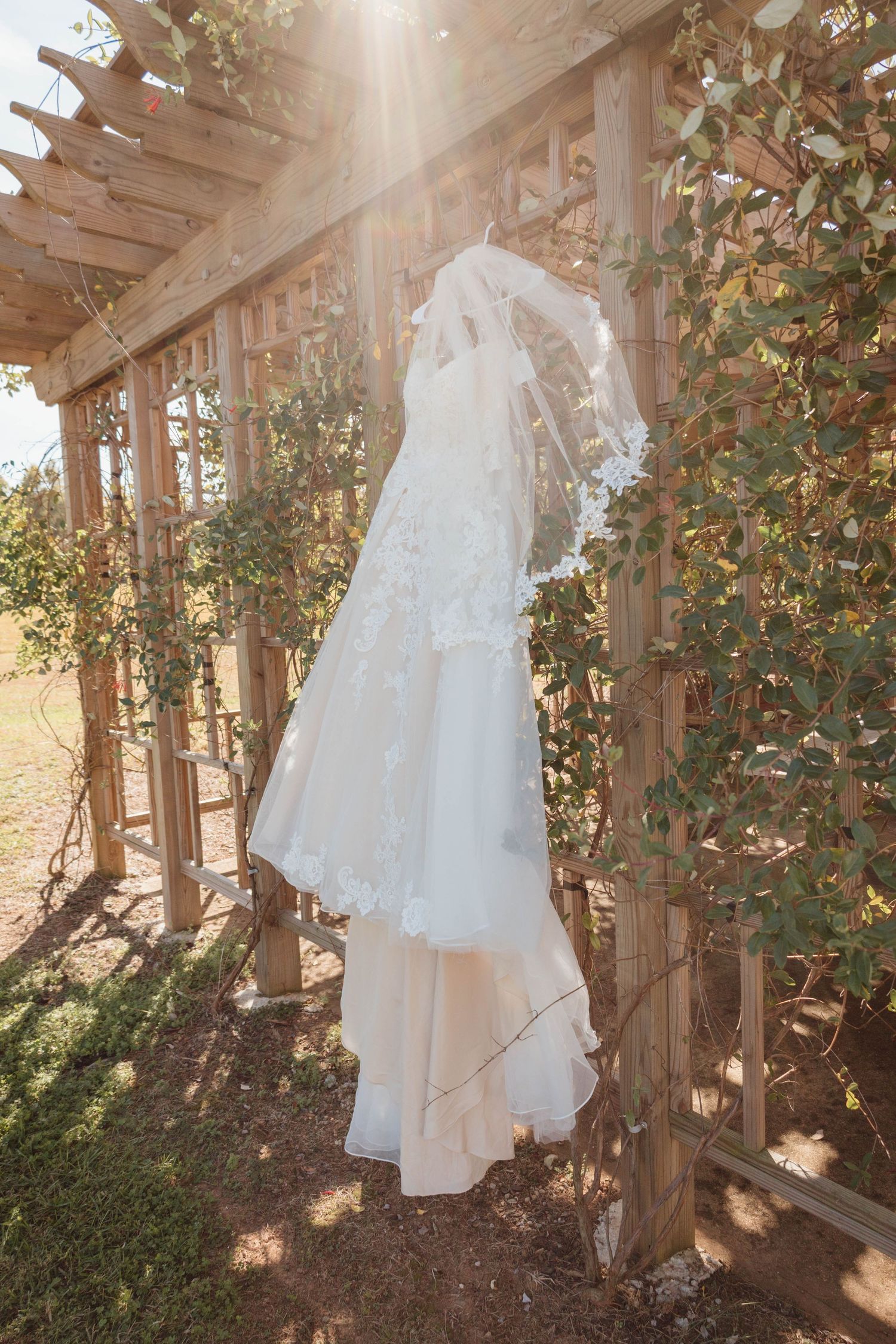 White wedding dress hanging in a wooden pergola with natural sunlight streaming through.
