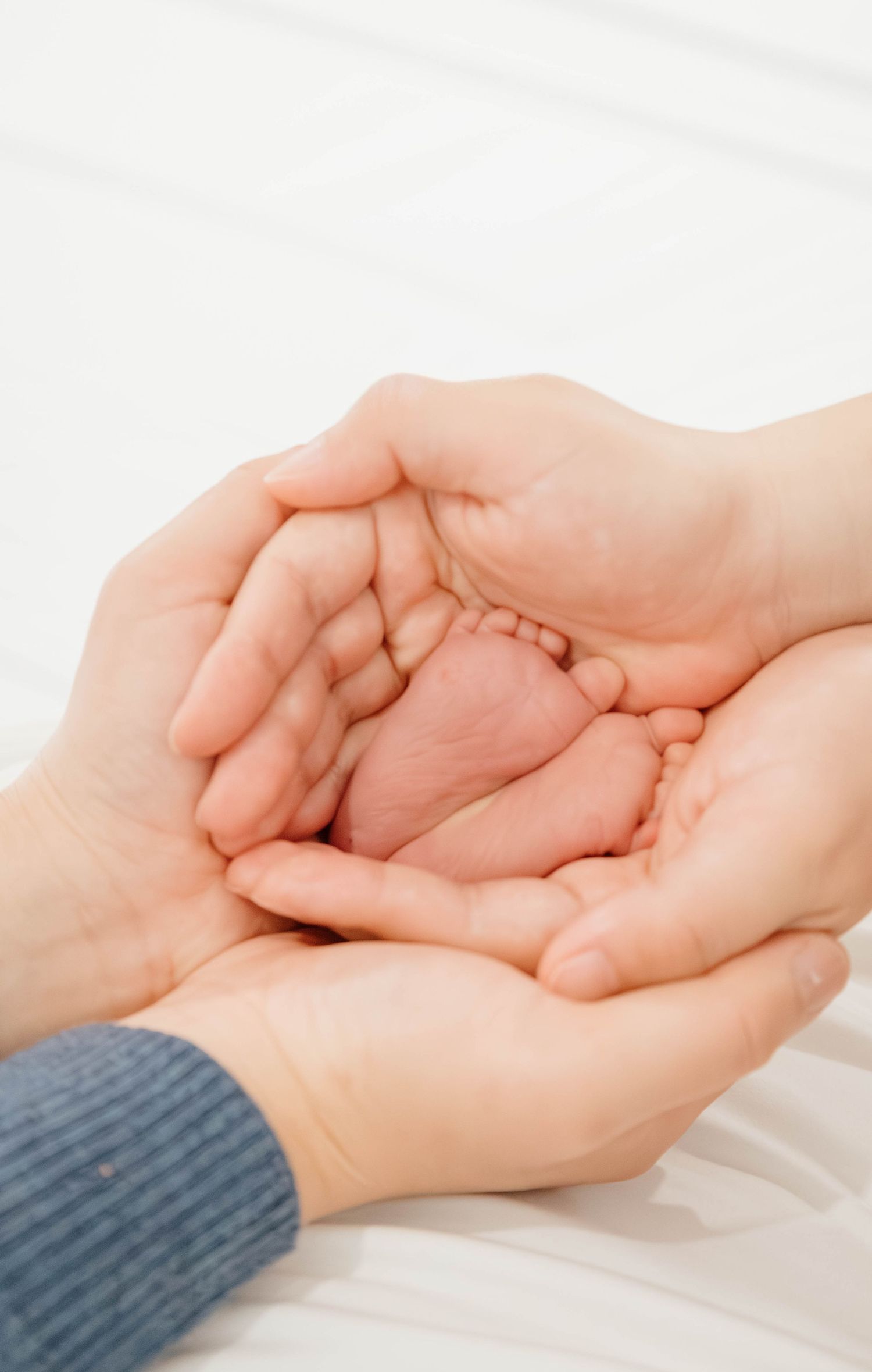 Adult hands lovingly hold tiny baby feet against a soft white background.