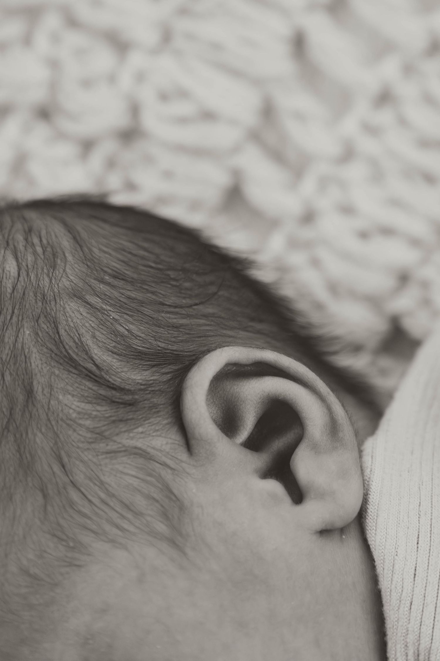 Close-up black and white photo of a newborn baby's ear with fine hair visible against a soft blanket.