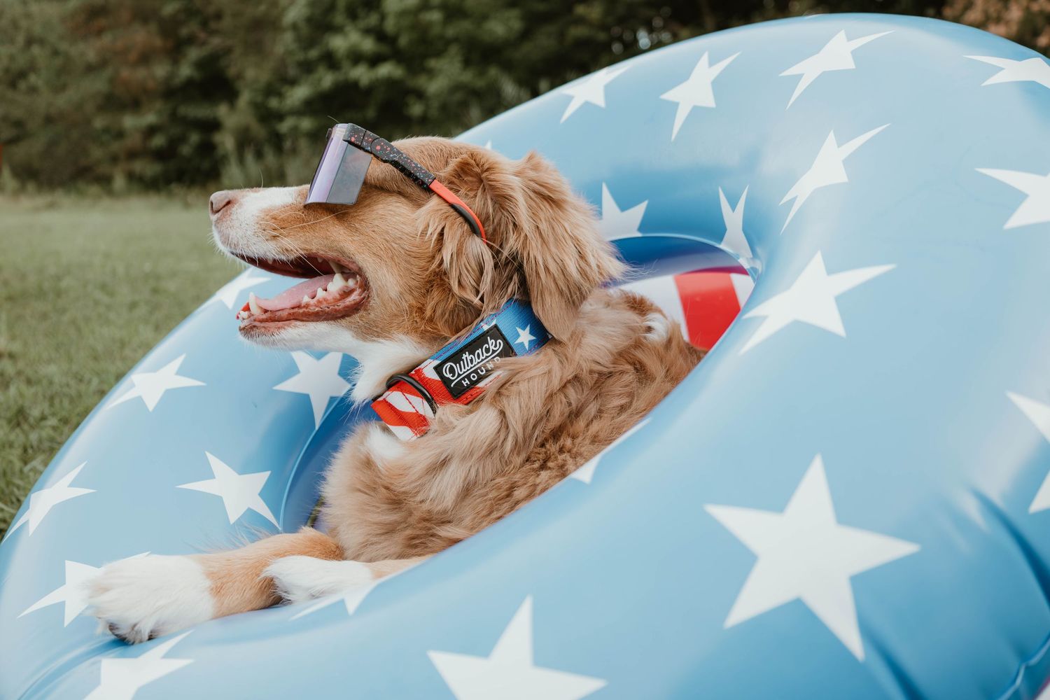 Happy golden retriever dog wearing sunglasses relaxing on a blue star-patterned inflatable pool float outdoors.