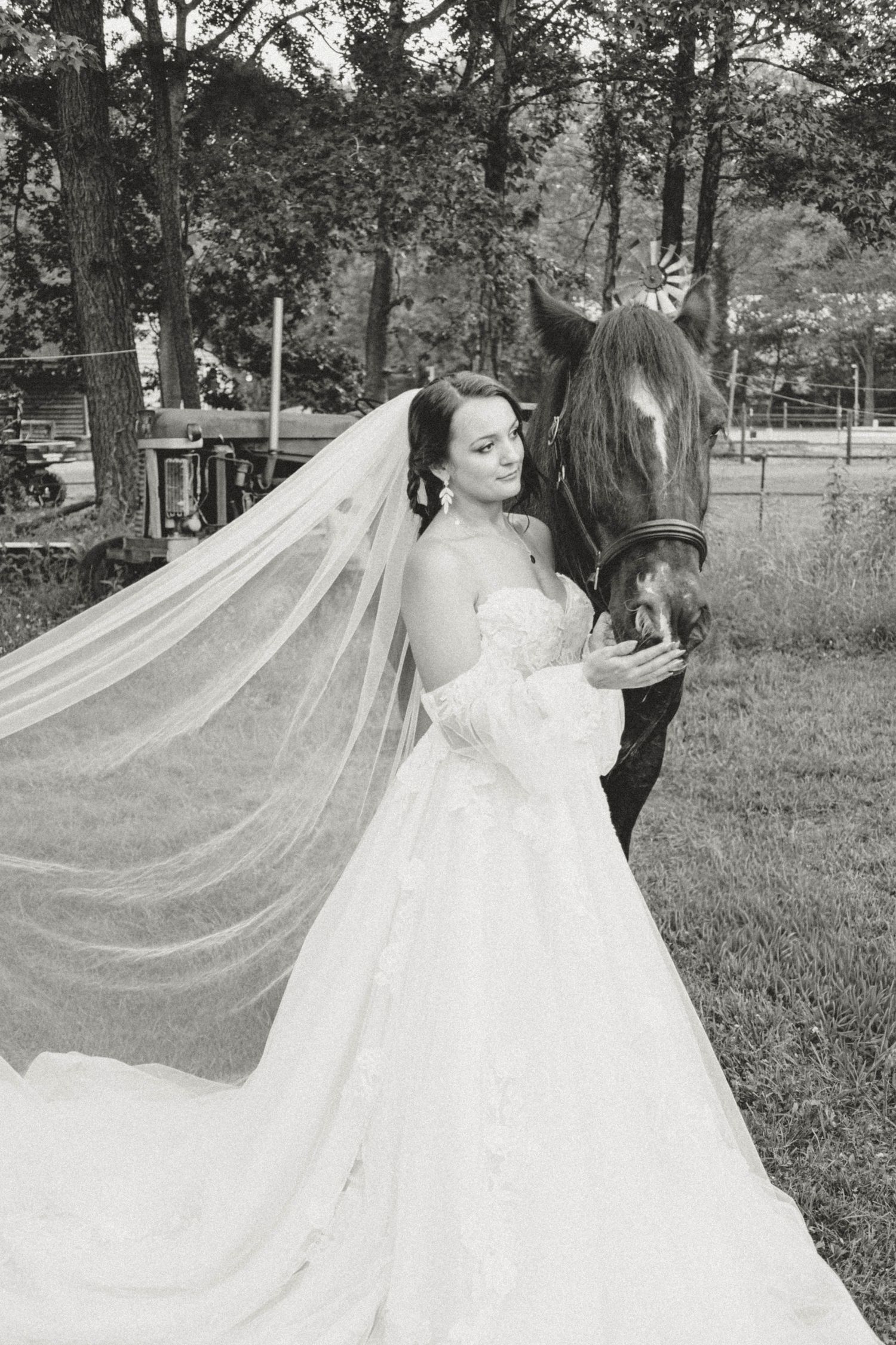 Black and white portrait of a bride with her horse, featuring a dramatic flowing veil.