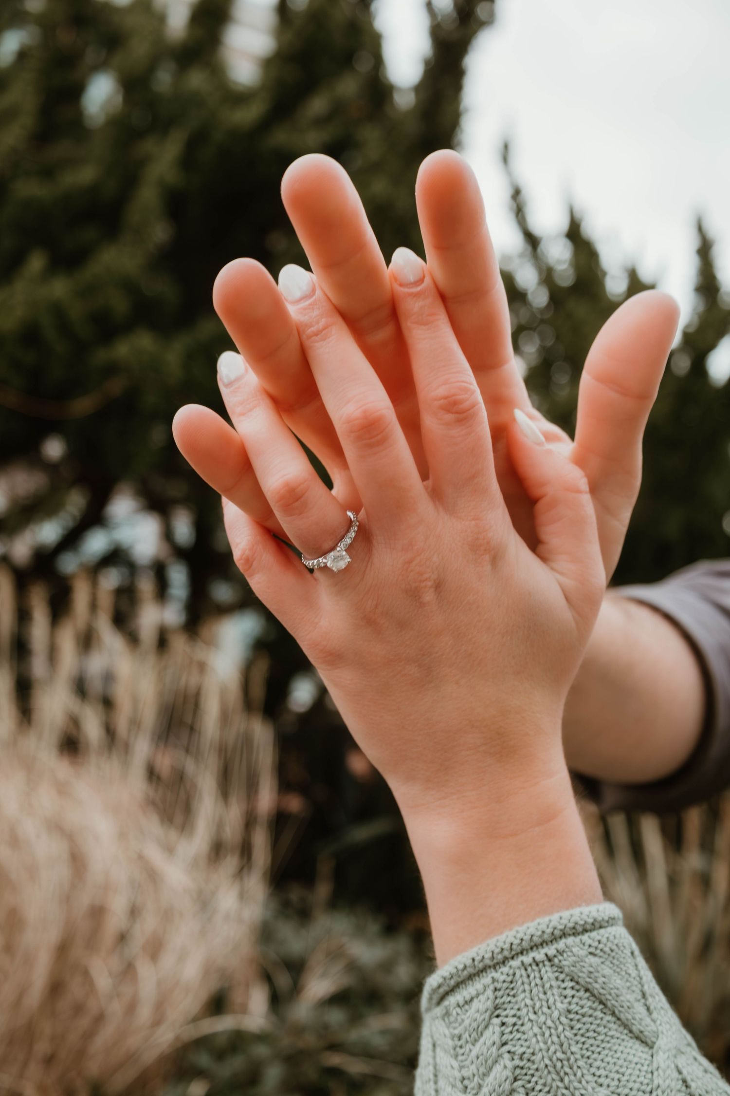 Close up of hands wearing a diamond engagement ring with soft natural lighting and tall grass in background.