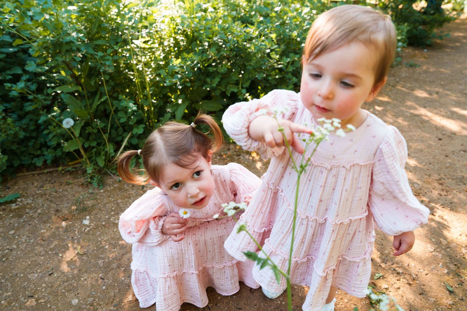 Two toddler girls in matching pink dresses picking white wildflowers in a garden path.